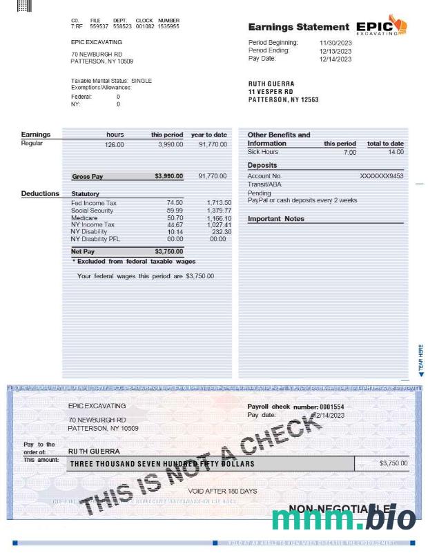 EPIC EXCAVATING earnings statement template in Word and PDF formats